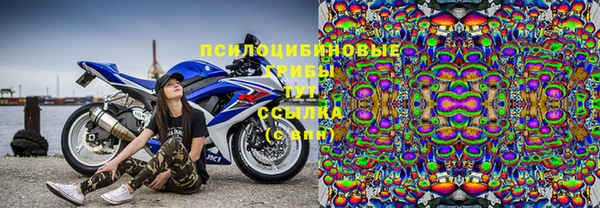 марки nbome Вяземский