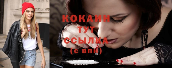 дживик Вязники