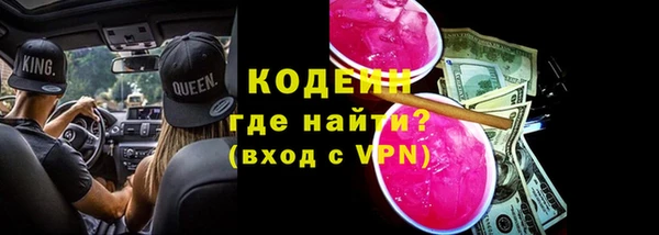 сатива Гусь-Хрустальный
