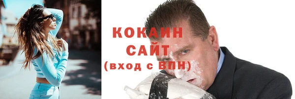 сатива Гусь-Хрустальный