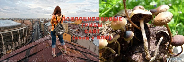 кокаин VHQ Гусиноозёрск